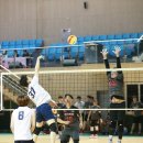 남원시청 이미지