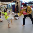 지웰MTA태권도 이미지