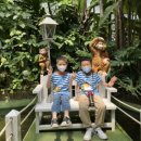 한사랑유치원 이미지