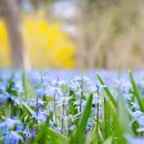 비문해 어르신을 위한 문해교육 이미지