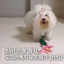 애견스케치 | 강아지 노즈워크 장난감 추천, 도그스케치 5in1 노즈워크 애견 장난감 사용 후기