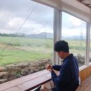 이종인농장 | 제주 가볼만한곳 보롬왓 카페 가면 보롬라떼 마셔봐여