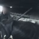 한화농장 이미지