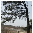 노적목장 | 장봉도 섬산행(12. 4. 28)