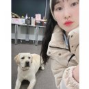 강릉여자고등학교 이미지