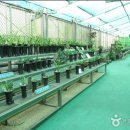 한라주차장 이미지