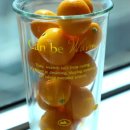 에이오비 이미지