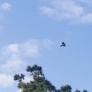 성산홍마트 4 이미지