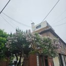흥생한의원 네이버블로그