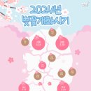 남면초등학교 | [빛깔정보] 2024 광주· 전남벚꽃명소 + 개화시기