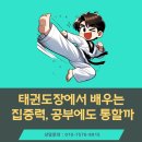 송내정도태권도장 이미지