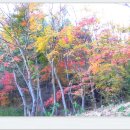 호반나들이길 이미지