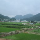 상암천 이미지
