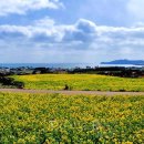 한성탑행정사 합동사무소 이미지