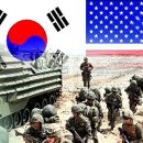 625 Daum카페