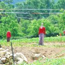 산내면평내마을 이미지