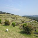 보령시모란공원 준비실 이미지