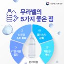 용산-현장-1995 이미지