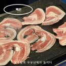 빽다방신논현역점 | 빽돈 강남 신논현역점 고기 가성비 끝판왕! 꽃삼겹 후기