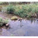 GS25수유대로점 이미지