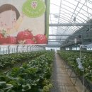 이수웰빙 이미지