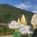 성주쉴만한물가 이미지