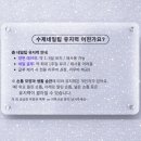 티피네일 | 실버 네일팁 티피티피 데일리로 딱 좋았던 착용기