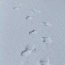 평지마을앞~신기마을앞 | [전북 전주] 전주한옥마을 앞 가성비 좋고 깔끔한 숙소 추천 “엔브릿지호텔”