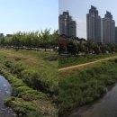 봉곡평생교육센터 이미지