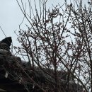 동리 | 경주 황리단길 동리 솔직 후기 / 37개월 아기와 방문, 매운등갈비찜+아기밥 제공