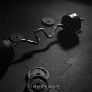 시랑생활체육관 네이버블로그
