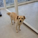 디그루밍 이미지