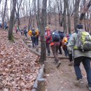 [대모산-구룡산이어타기 : 서울제주도민회 산악회 2월정기산행] 이미지