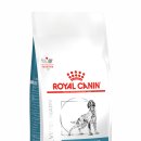 로얄동물병원 이미지