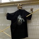 기원 | 국내 위스키 양조장 투어 | &#34;기원&#34; 방문 후기