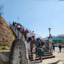 (주)원동 | 양산 물금역 기차타고 원동 매화축제 후기