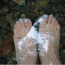 공룡발통 이미지