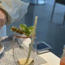 해피소울 | 칸쿤 신혼여행 정글 투어 브레슬리스 소울 칸쿤 로맨틱 조식 후기