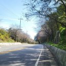 황룡강제방길 이미지