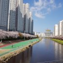 포스코더샵114공인중개사사무소 | 부산더샵파크시티 매매 추천 정보