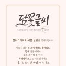 담;꽃