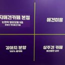 약지애견카페 서창점 이미지