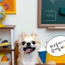 멈무스테이 (Mummoo stay) 이미지