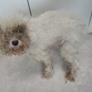 논산대로 이미지