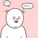 수경가방