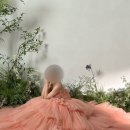 풀숲#2 | 뷰시엘 스튜디오 : 풀숲 배경 촬영 후기