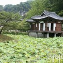 솔향 고도(古都) 강릉을 가다 이미지