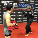 코리아타이거체육관 이미지