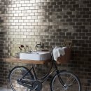 자전거와 빈티지 세면대 Vintage Washbasin Bicy by Regia is Basin-bike 이미지