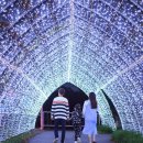 로맨틱 제주 이미지